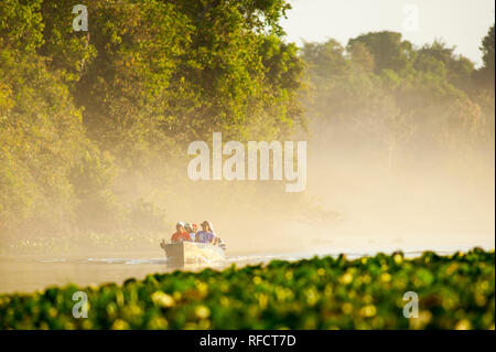 Touristen auf der Suche nach Jaguare auf Boot Safaris in Cuiabá Fluss, Pantanal von Mato Grosso, Brasilien Stockfoto