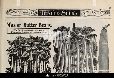 . Neuheiten und Spezialitäten für 1897. Baumschulen Illinois Chicago Kataloge; Samen Sorten Kataloge; Blumen Samen Kataloge; Lampen; Blühende Sträucher Pflanzen Kataloge Kataloge. . Bitte beachten Sie, dass diese Bilder sind von der gescannten Seite Bilder, die digital für die Lesbarkeit verbessert haben mögen - Färbung und Aussehen dieser Abbildungen können nicht perfekt dem Original ähneln. extrahiert. W. W. Barnard &Amp; Co; Henry G. Gilbert Baumschule und Saatgut Handel Katalog Kollektion. Chicago, Illinois: W. W. Barnard &Amp; Co. Stockfoto