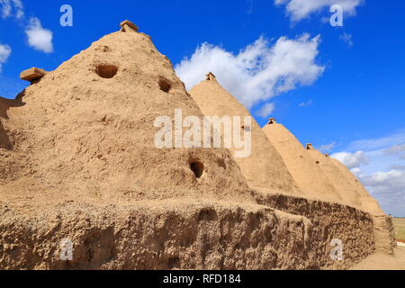 Harran, sanli Urfa, Türkei angesichts der traditionellen konischen Häuser von Harran. Stockfoto