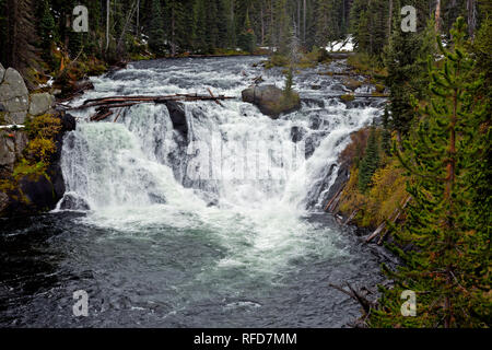 WY 02940-00 ... WYOMING - Lewis fällt auf den Lewis River im Yellowstone National Park. Stockfoto