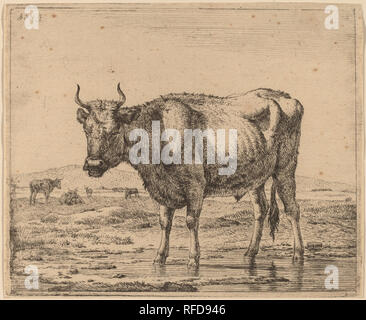 Stier stehend im Wasser. Vom: C. 1657/1659. Medium: Radierung. Museum: Nationalgalerie, Washington DC. Autor: ADRIAEN VAN DE VELDE. Stockfoto