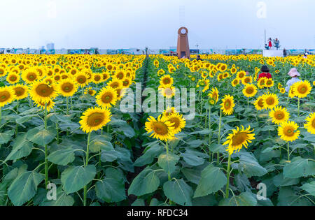 Sonnenblumen und Windmühle Dekoration Garten harmonisch harmonisieren, schönen und ruhigen Landschaften Stockfoto