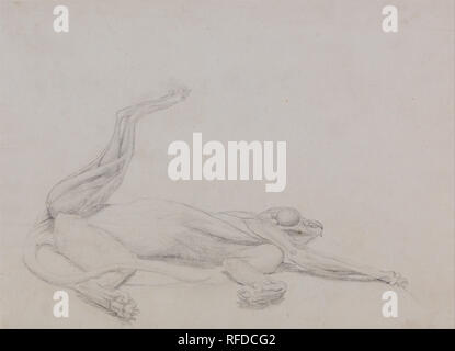 Eine vergleichende anatomische Darstellung der Struktur des menschlichen Körpers mit einem Tiger und einem gemeinsamen Geflügel: Tiger Körper, Liegeräder, Gesehen nach ventral. Datum/Zeitraum: 1795 bis 1806. Zeichnung. Graphit auf dünne, leicht strukturierte, Creme webte Papier. Höhe: 229 mm (9.01 in); Breite: 314 mm (12.36 in). Autor: George Stubbs. Stockfoto