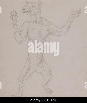 Eine vergleichende anatomische Darstellung der Struktur des menschlichen Körpers mit einem Tiger und einem gemeinsamen Geflügel: Tiger Körper, in menschliche Haltung stehen. Datum/Zeitraum: 1795 bis 1806. Zeichnung. Graphit auf dünne, leicht strukturierte, Creme webte Papier. Höhe: 273 mm (10,74 in); Breite: 241 mm (9.48 in). Autor: George Stubbs. Stockfoto