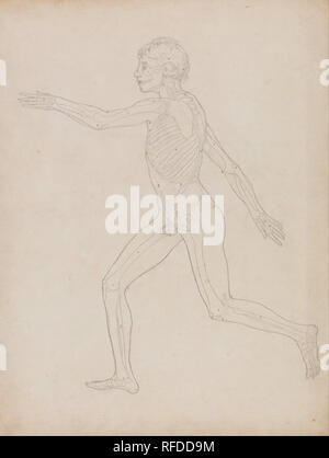 Eine vergleichende anatomische Darstellung der Struktur des menschlichen Körpers mit einem Tiger und einem gemeinsamen Geflügel: Menschliche Figur, Seitenansicht. Datum/Zeitraum: 1795 bis 1806. Zeichnung. Graphit auf dicke, leicht strukturierte, Creme webte Papier. Höhe: 537 mm (21.14 in); Breite: 403 mm (15,86 in). Autor: George Stubbs. Stockfoto