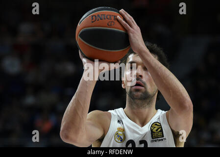 Madrid, Spanien. 24 Jan, 2019. Sergio Llull, # 23 von Real Madrid in Aktion während der 2018/2019 Turkish Airlines EuroLeague Saison Runde 20 Spiel zwischen Real Madrid und Anadolu Efes an WiZink Zentrum in Madrid. Real Madrid (Spanien) beat Anadolu Efes (Türkei) 92-84. Credit: Jorge Sanz/Pacific Press/Alamy leben Nachrichten Stockfoto