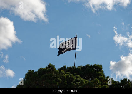 Die schwarzen und weißen, Jolly Roger, Schädel und Knochen Piratenflagge fliegt hoch von einer grünen Baum. Stockfoto