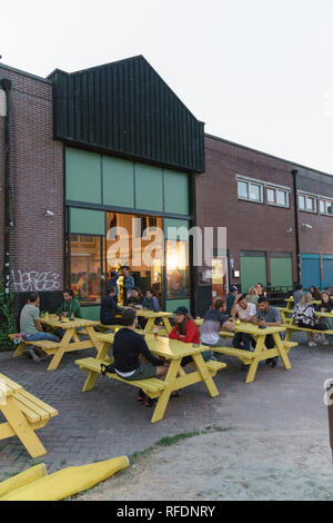 Skate Cafe, Amsterdam Noord, Niederlande Stockfoto