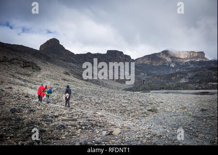 Besucher auf Afrikas höchsten Berg der Welt und des höchsten freistehenden berg, Mount Kilimanjaro, durch 5 Vegetationszonen auf dem Aufstieg Stockfoto