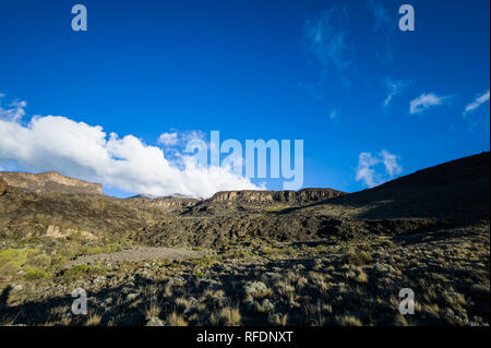 Besucher auf Afrikas höchsten Berg der Welt und des höchsten freistehenden berg, Mount Kilimanjaro, durch 5 Vegetationszonen auf dem Aufstieg Stockfoto