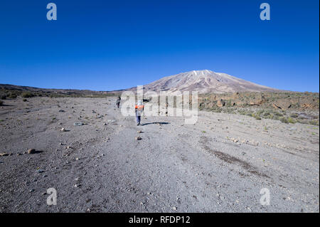 Besucher auf Afrikas höchsten Berg der Welt und des höchsten freistehenden berg, Mount Kilimanjaro, durch 5 Vegetationszonen auf dem Aufstieg Stockfoto