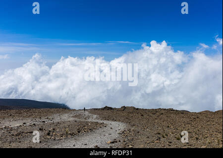 Besucher auf Afrikas höchsten Berg der Welt und des höchsten freistehenden berg, Mount Kilimanjaro, durch 5 Vegetationszonen auf dem Aufstieg Stockfoto