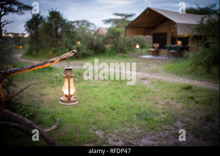 Kurzes Gras Ebenen der Serengeti National Park, der ndutu Region und Ngorongoro Crater Conservation Area, Tansania zeichnen die große Wanderung. Stockfoto