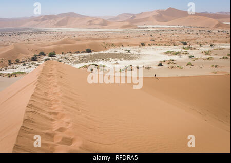 Die jenseitigen Dünen und Wüste Landschaften Namib-Naukluft-Nationalpark machen einen schönen Tagesausflug von Sesriem Camp am Rande der Namib Stockfoto