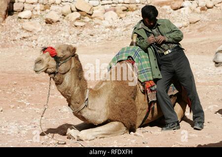 Kamelreiten, Führer warten auf Touristen, Petra Jordanien Stockfoto