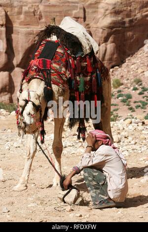 Kamelreiten, Führer warten auf Touristen, Petra, Jordanien Stockfoto