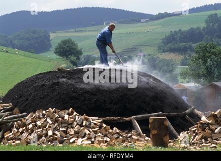 DEU, Deutschland: Mann, Kohle, Kohle anhäufen. Sauerland. Stockfoto