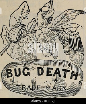 . 1902 Jahr Buch: Alles für den Hof und Garten. Baumschulen Massachusetts Worcester Kataloge; Gemüse; Blumen Samen Samen Kataloge Kataloge; Gräser, Samen Kataloge; landwirtschaftliche Arbeitsgeräte Kataloge. ROSS BRÜDER' jährlicher Katalog. 93. Pat. 16. März und Nov. 9, iE Pat. in Kanada Nov. 2, 189; und Jan. 25, 1900. Insektizide für die Zerstörung aller Arten von Insekten befallen VIEH, GEFLÜGEL oder Pflanzen. Im Zusammenhang mit diesem Thema sind wir zu Dank verpflichtet, die "Maine Bauer" für einen Artikel unterzeichnet von E. A. Rogers auf die Verwendung von Paris Grün für die Zerstörung der Kartoffel B Stockfoto