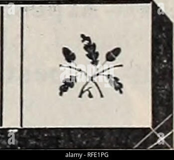 . 1902 Jahr Buch: Alles für den Hof und Garten. Baumschulen Massachusetts Worcester Kataloge; Gemüse; Blumen Samen Samen Kataloge Kataloge; Gräser, Samen Kataloge; landwirtschaftliche Arbeitsgeräte Kataloge. Kosmos. Ein schnell wachsendes, anmutige Pflanze, mit schönen federartigen Laub, mit Blumen, die die Einheitliche Dahlie ähneln; ein sehr robustes jährliches starke, kräftige Gewohnheit, immer etwa fünf Meter hohen in gewöhnlichen Boden, und oft acht Fuß in sehr reich. Es ist selten genug Platz; Pflanzen sollte nicht näher als zwei und einen halben Meter auseinander, und in reichen Boden einen größeren Abstand. T Stockfoto