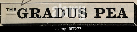 . 1902 Jahr Buch: Alles für den Hof und Garten. Baumschulen Massachusetts Worcester Kataloge; Gemüse; Blumen Samen Samen Kataloge Kataloge; Gräser, Samen Kataloge; landwirtschaftliche Arbeitsgeräte Kataloge. ROSS BRÜDER' jährlicher Katalog. 17. @F alle Sorten von Gemüse, die für viele Jahre nichts eingeführt wurden, hat sich in der Popularität früher als der Gradus Erbse entstanden, und nichts hat mehr verdient. Sowohl die Hülsen und Erbsen sind fast so groß wie das Telefon, und es reift mit oder sehr eng mit der Alaska und andere zusätzliche earlies. Seine Qualität ist der Beste, fast Stockfoto