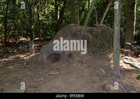 Löcher in den Schlamm Dämme an Cu Chi Tunnel komplex. Die Löcher sind die Wellen für die Tunnel. In Saigon, Ho Chi Minh City, Vietnam. Stockfoto