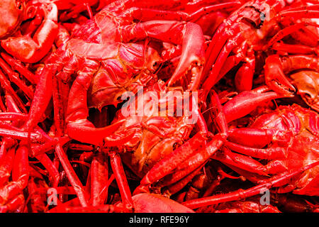 Brachyura, Krabben, sind innerhalb des Mercat de Sant Josep de la Boqueria, einem öffentlichen Markt mit einem Eintritt von La Rambla verkauft Stockfoto