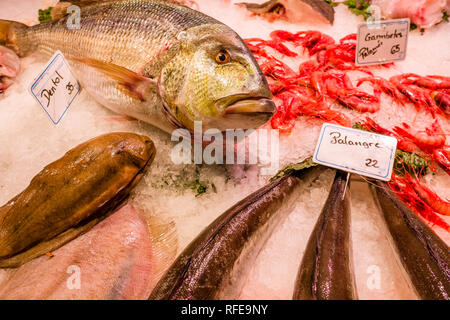 Verschiedene Sorten frischen Fisch und Garnelen sind innerhalb des Mercat de la Llibertat im Stadtteil Vila de Gràcia verkauft Stockfoto