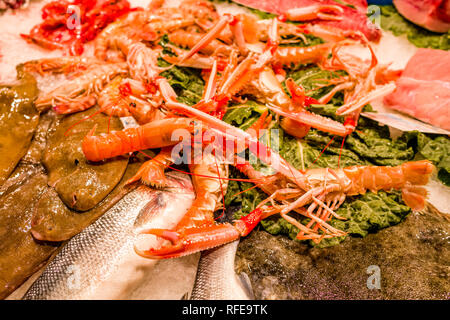 Verschiedene Sorten frischen Fisch und Garnelen sind innerhalb des Mercat de la Llibertat im Stadtteil Vila de Gràcia verkauft Stockfoto