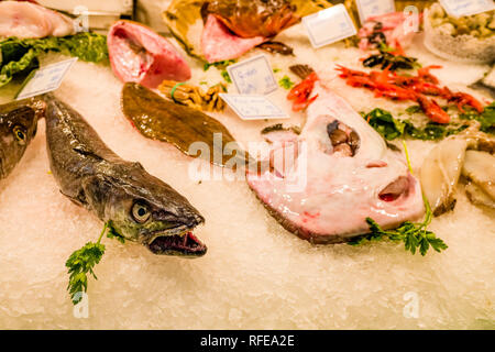 Verschiedene Sorten frischen Fisch und Garnelen sind innerhalb des Mercat de la Llibertat im Stadtteil Vila de Gràcia verkauft Stockfoto