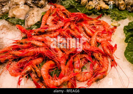 Verschiedene Sorten frischen Fisch und Garnelen sind innerhalb des Mercat de la Llibertat im Stadtteil Vila de Gràcia verkauft Stockfoto