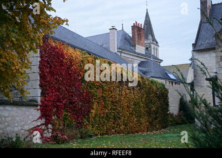 Bunte ändern Laub von Efeu im Herbst auf der alten Mauer eines Hauses und Kirche im Tal der Loire, Frankreich Stockfoto