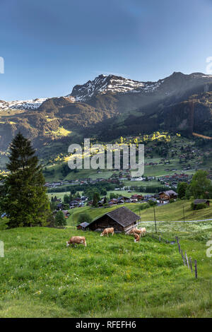 Schweiz, Alpen, Berner Oberland, Grindelwald, Frühling. Stockfoto