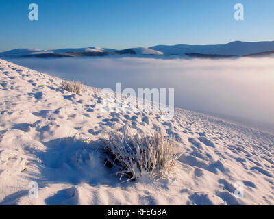 Cloud Inversion von Verschneiten Nether Oliver Dod, in der Nähe der Tweedsmuir, Southern Uplands, Schottland Stockfoto