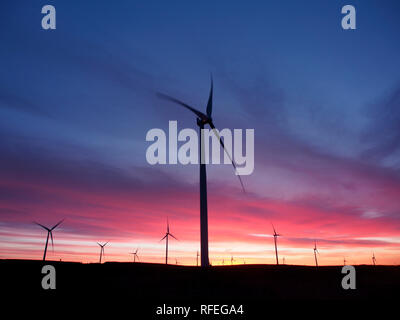 Windpark in der Morgendämmerung, Monynut Kante, Lammermuir Hills in der Nähe von Dunbar, Schottland Stockfoto