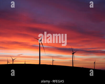 Windpark in der Morgendämmerung, Monynut Kante, Lammermuir Hills in der Nähe von Dunbar, Schottland Stockfoto