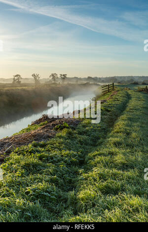 Am frühen Morgen Nebel Clearing über den Fluss Brue in der Nähe von Glastonbury, Somerset, England Stockfoto