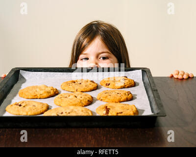 Foto eines jungen Mädchens zu einem Fach des warmen Chocolate Chip Cookies starrte gerade aus dem Ofen. Stockfoto