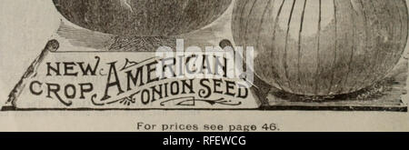 . Griswold Katalog von Gemüse, Blumen und Samen, 1902. Baumschulen Nebraska Kataloge; Gemüse; Blumen Samen Samen Kataloge Kataloge. 24. Bitte beachten Sie, dass diese Bilder sind von der gescannten Seite Bilder, die digital für die Lesbarkeit verbessert haben mögen - Färbung und Aussehen dieser Abbildungen können nicht perfekt dem Original ähneln. extrahiert. Griswold Seed Co; Henry G. Gilbert Baumschule und Saatgut Handel Katalog Kollektion. Lincoln, Neb. : Griswold Seed Co. Stockfoto