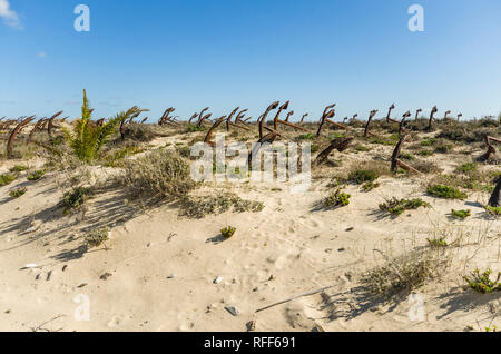 Tavira Portugal. Anker Friedhof aus dem ehemaligen Tunfischfang auf Praia do Barril Strand, Tavira, Algarve, Portugal. Stockfoto