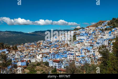 Blick auf die blauen Häuser der Medina von Meknes, Chaouen, Reef Berge, Tangier-Tétouan, Marokko Stockfoto