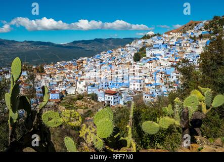 Blick auf die blauen Häuser der Medina von Meknes, Chaouen, Reef Berge, Tangier-Tétouan, Marokko Stockfoto