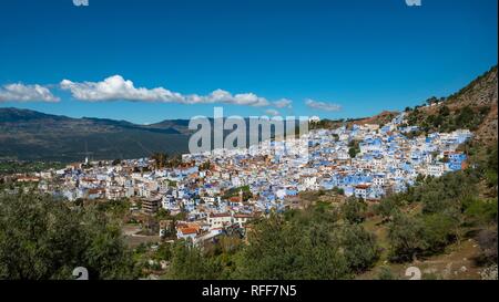 Blick auf die blauen Häuser der Medina von Meknes, Chaouen, Reef Berge, Tangier-Tétouan, Marokko Stockfoto