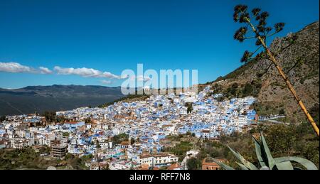 Blick auf die blauen Häuser der Medina von Meknes, Chaouen, Reef Berge, Tangier-Tétouan, Marokko Stockfoto