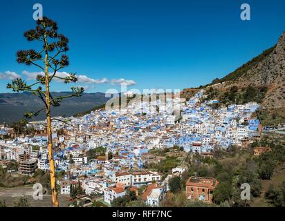 Blick auf die blauen Häuser der Medina von Meknes, Chaouen, Reef Berge, Tangier-Tétouan, Marokko Stockfoto