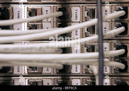 DEU Deutschland: Kabel von einem Computer server Center eines Unternehmens. | Stockfoto