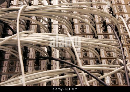 DEU Deutschland: Kabel von einem Computer server Center eines Unternehmens. | Stockfoto