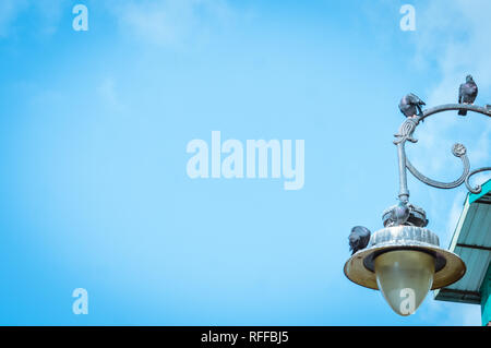 Mini sensor Solar Lampe street light mit blauem Himmel Hintergrund, Low Angle View mit kopieren. Vögel sitzen auf der Lampe. Stockfoto