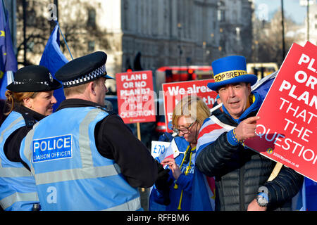 Steve Bray, anti-Brexit proteseter und Gründer von sodem (Stand der Missachtung der Europäischen Bewegung) auf seinem täglichen Protest außerhalb der Häuser des Parlaments. J Stockfoto