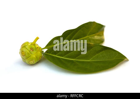 Noni Frucht auf weißem Hintergrund. Immunity Booster. Antioxidans. Stockfoto