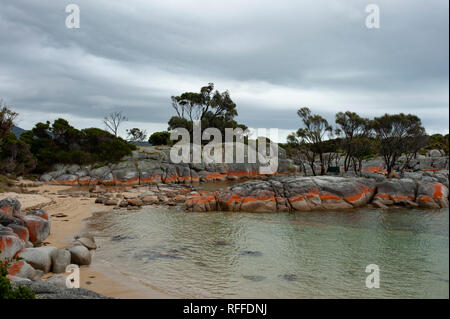 Bay of Fires, Tasmanien, Australien Stockfoto